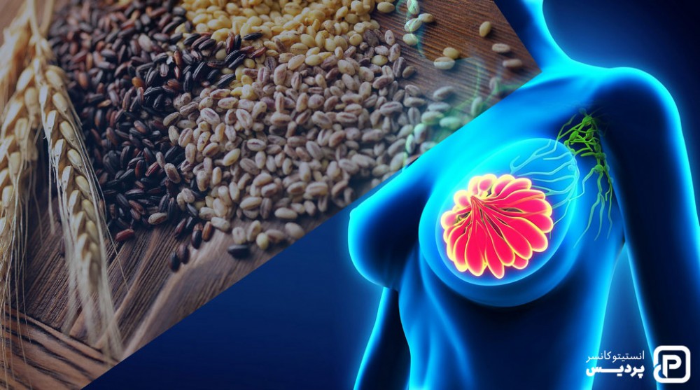 مواد حاوی فیبر می تواند خطر ابتلا به سرطان سینه را کاهش دهد