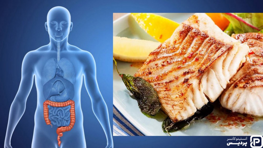 ماهی هب دلیل امگا 3 در رژیم غذایی سرطان روده بزرگ توصیه می شود