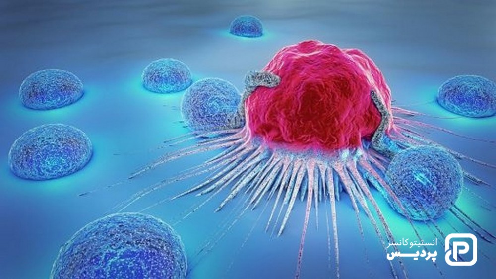 تفاوت سلول های سرطانی و سالم