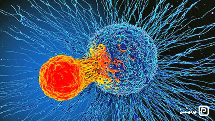 مرحله های مختلف سرطان