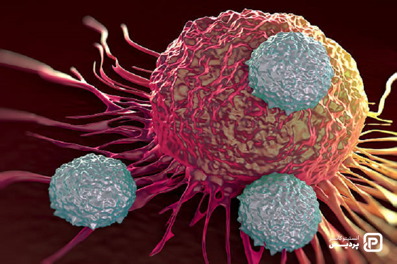 سرطان پروستات