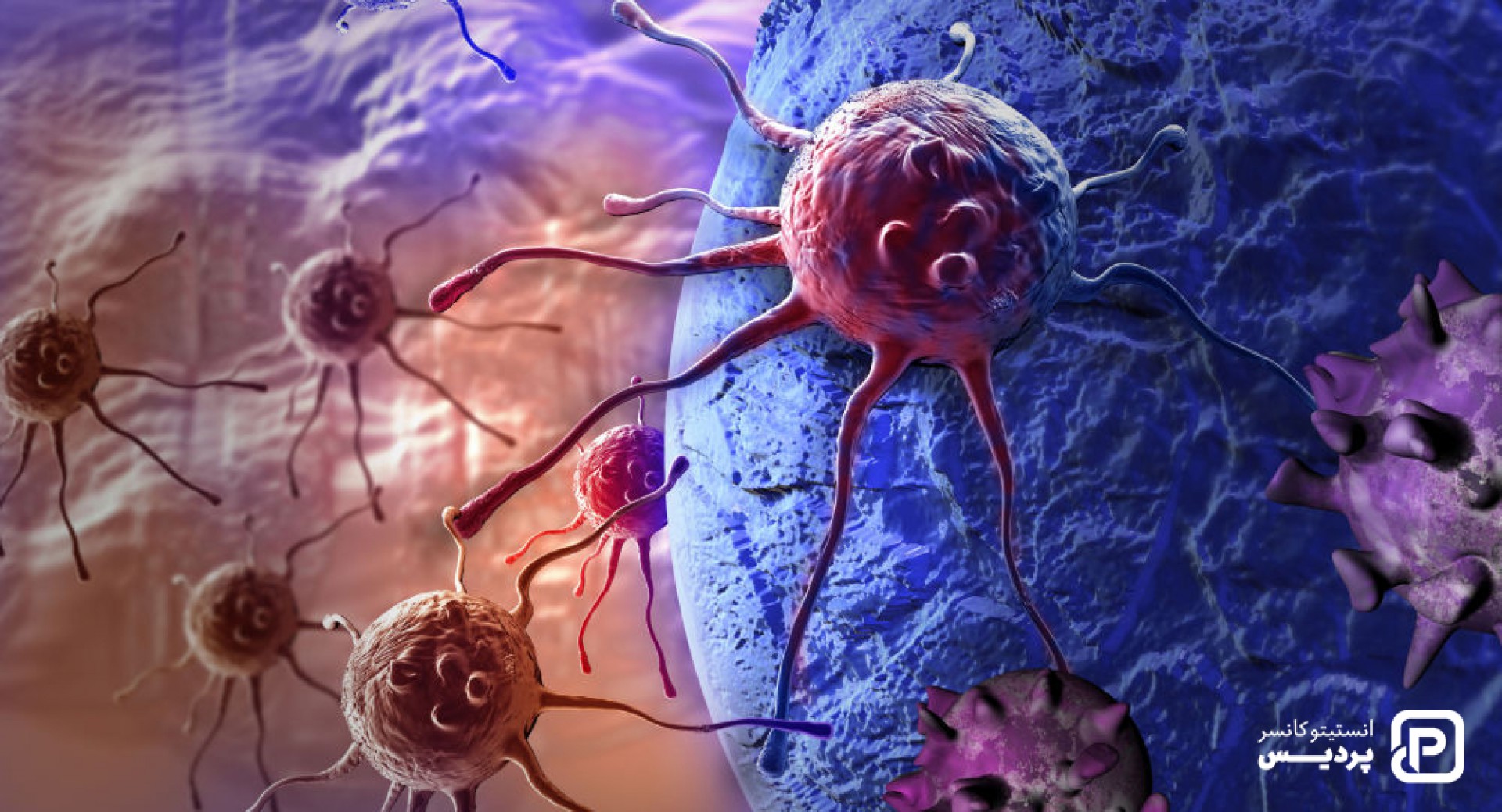 همه چیز درباره مرحله بندی سرطان - 1