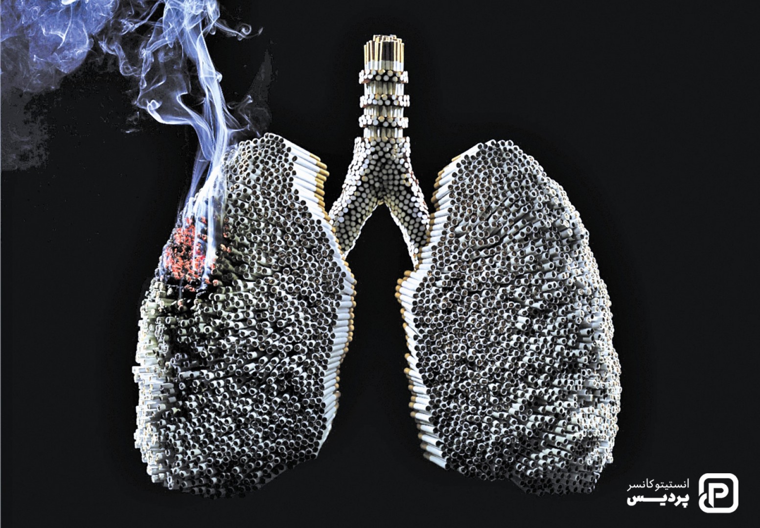 عوامل خطر سرطان ریه را بشناسید - 1