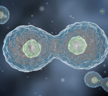 چگونه سرطان به دیگر نقاط بدن گسترش می یابد - 3