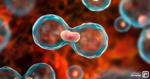 مشخصات سلول های سرطانی و تفاوت آنها را با سلول های طبیعی بشناسید - 11