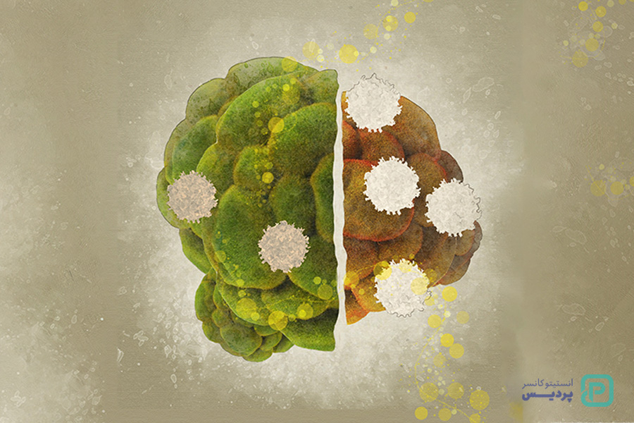 تأثیر چاقی بر ابتلا به سرطان - 2