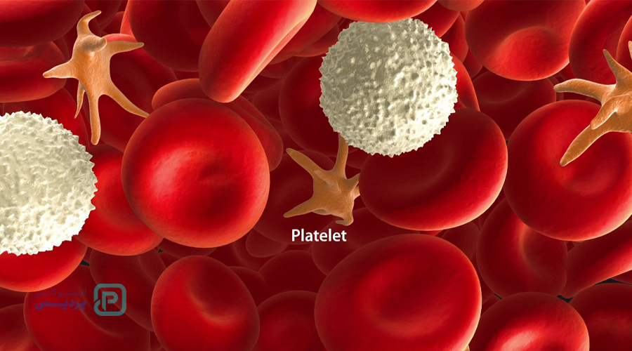 پایین بودن پلاکت خون: نشانه سرطان است؟ علائم، علتها و روشهای درمان 1 پایین بودن پلاکت خون: نشانه سرطان است؟ علائم، علتها و روشهای درمان - 1