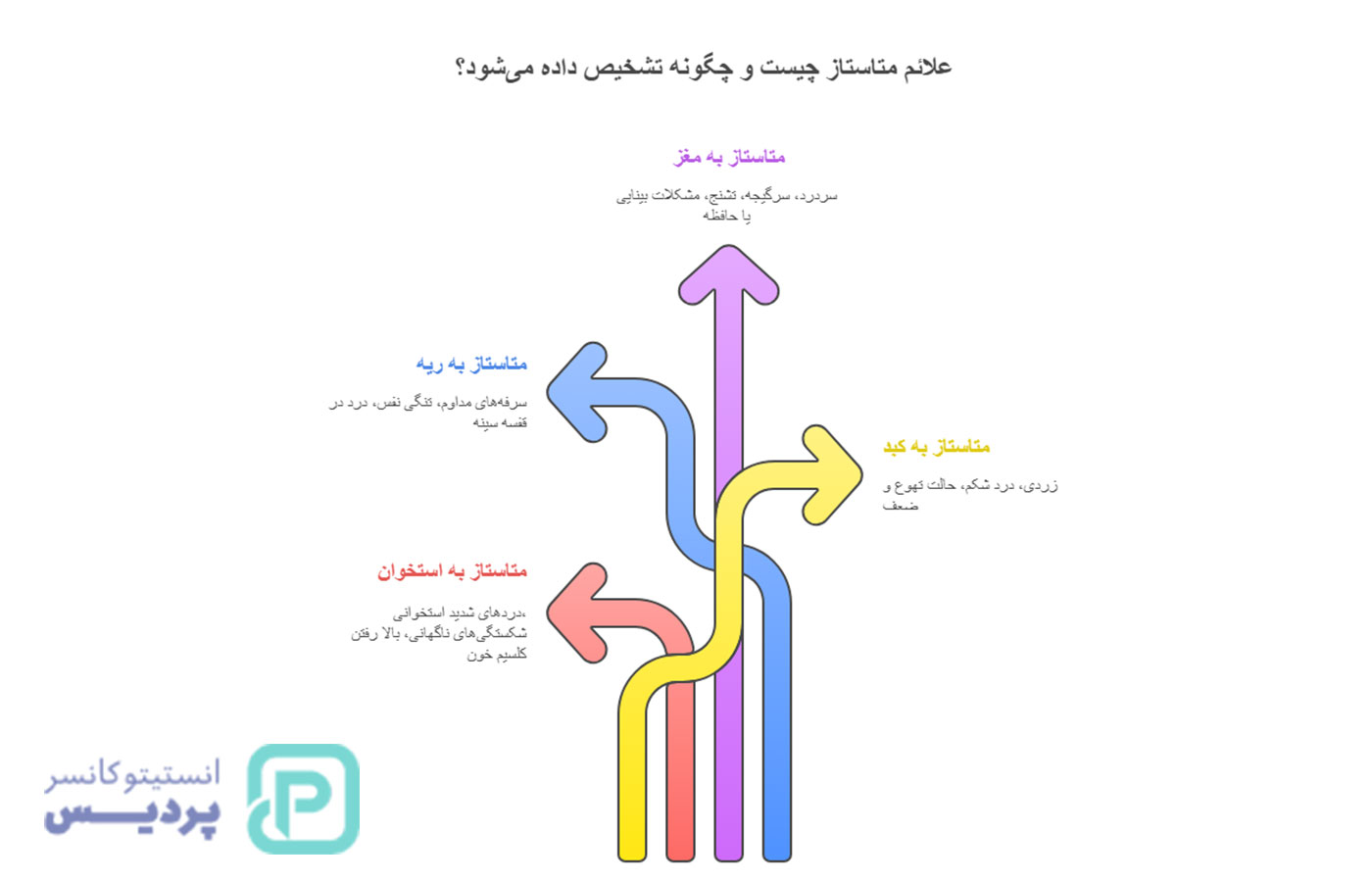 متاستاز چیست؟ همه چیز درباره گسترش سرطان به زبان ساده - 3