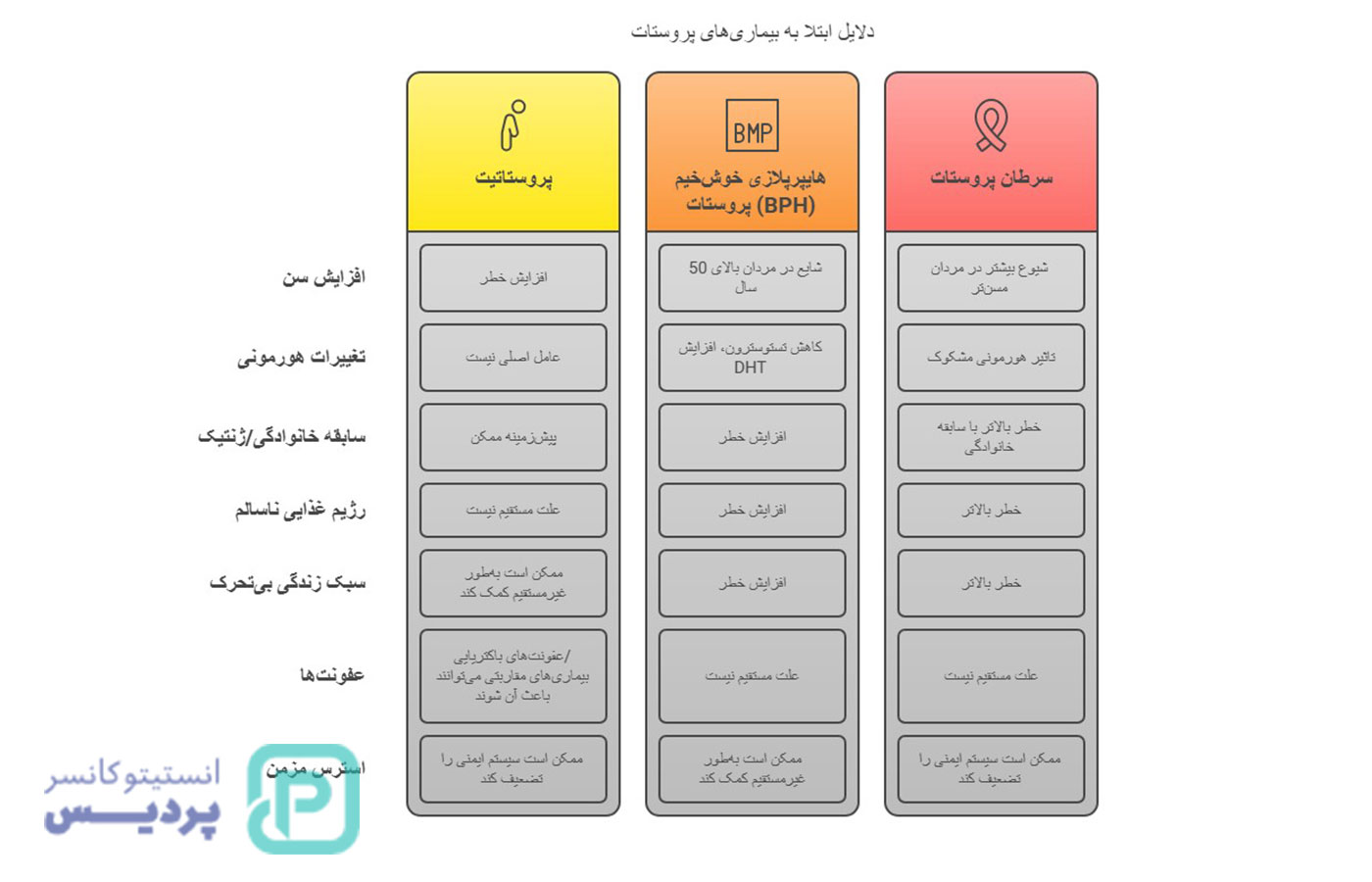 دلایل ابتلا به بیماریهای پروستات | هر آنچه باید درباره پروستات، علائم و راههای پیشگیری بدانید 3 دلایل ابتلا به بیماریهای پروستات | هر آنچه باید درباره پروستات، علائم و راههای پیشگیری بدانید - 3