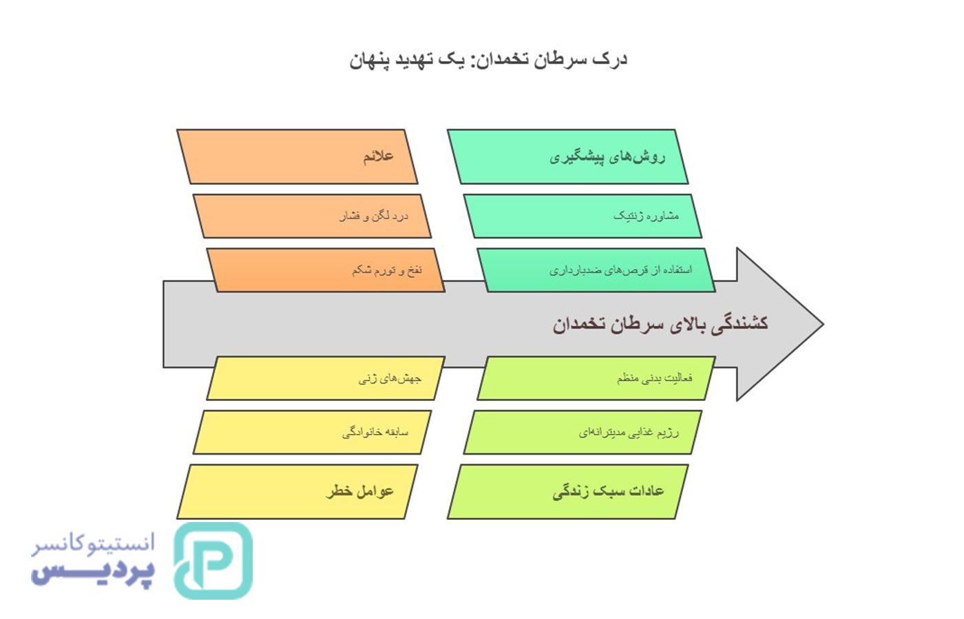 شایعترین سرطانها در خانمهای بالای 50 سال | آمار، علائم و پیشگیری 5 شایعترین سرطانها در خانمهای بالای 50 سال | آمار، علائم و پیشگیری - 4
