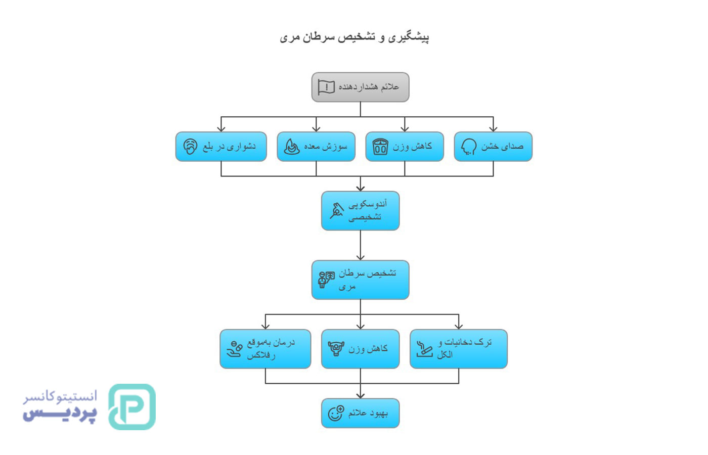 شایعترین سرطانها در خانمهای بالای 50 سال | آمار، علائم و پیشگیری 7 شایعترین سرطانها در خانمهای بالای 50 سال | آمار، علائم و پیشگیری - 6