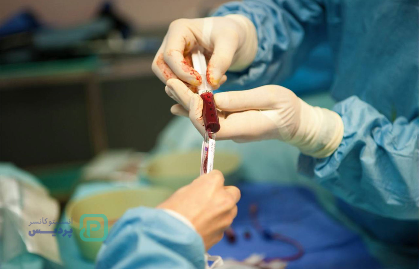 پیوند مغز استخوان: هرآنچه باید بدانید 4 پیوند مغز استخوان: هرآنچه باید بدانید - 4