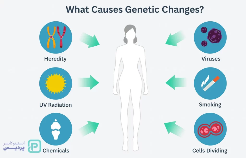 همه چیز درباره سرطان؛ علت، درمان و راه های پیشگیری آن را بشناسید 4 همه چیز درباره سرطان؛ علت، درمان و راه های پیشگیری آن را بشناسید - 3