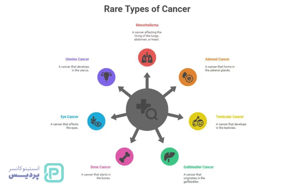 همه چیز درباره سرطان؛ علت، درمان و راه های پیشگیری آن را بشناسید 3 همه چیز درباره سرطان؛ علت، درمان و راه های پیشگیری آن را بشناسید - 2
