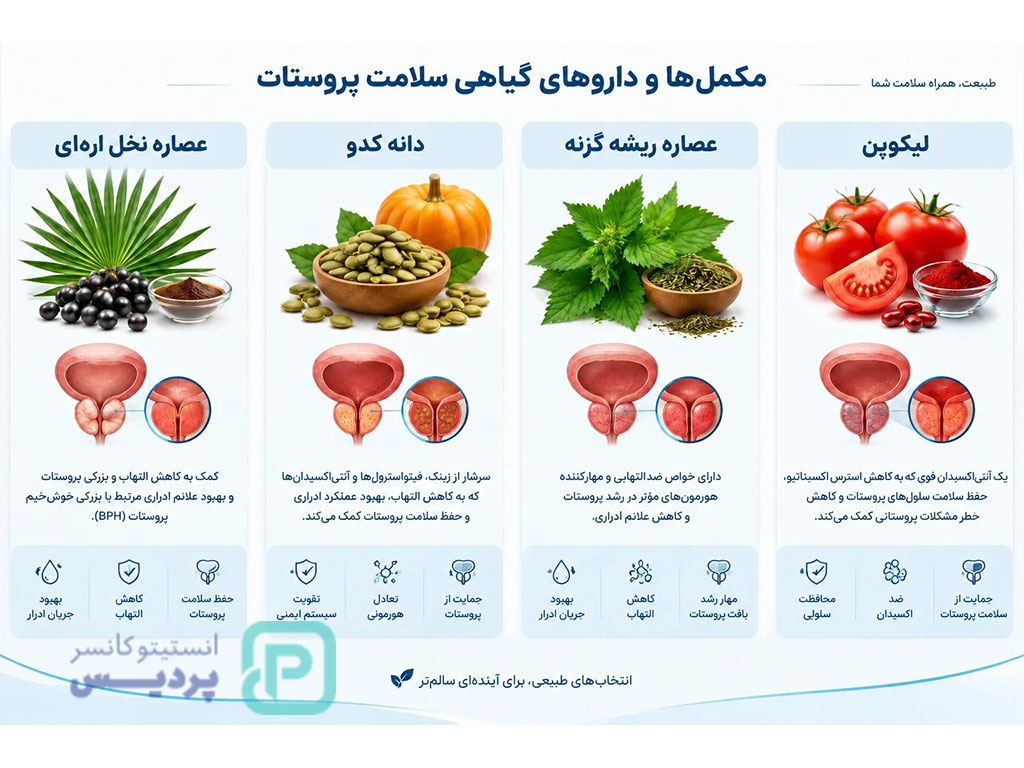 داروی درمان قطعی پروستات؛ بررسی موثرترین داروها 4 مکمل های تغذیه ای پروستات